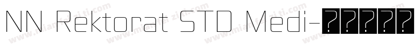 NN Rektorat STD Medi字体转换